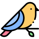 oiseau