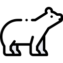 oso polar