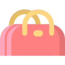 Ручная сумка