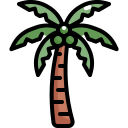 Árbol de coco