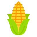 Corn