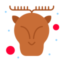 cervo