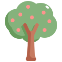 drzewo owocowe