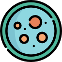 Petri dish