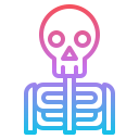 Skeleton