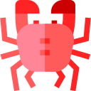 krab