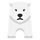 urso polar