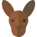 kangourou