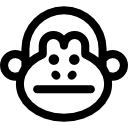 scimmia