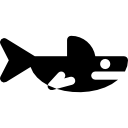 Shark