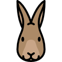 lapin