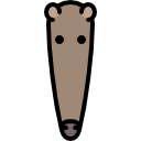 Anteater