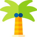 Coconut tree