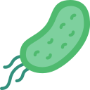 bacteriën