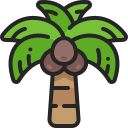 Coconut tree