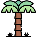 palmier