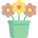 fiori