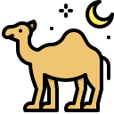 Camel