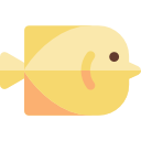 pescado