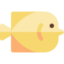 魚