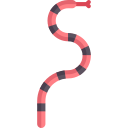 slang