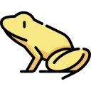 Золотая лягушка-дротик