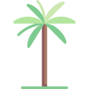 Wax palm