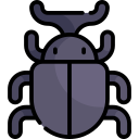 Beetle