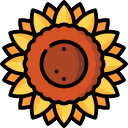 girasol