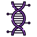 Genome