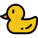 canard