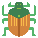 scarabée