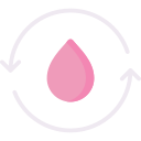 Menstrual cycle