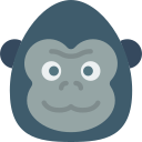 gorila