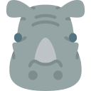 rhinocéros