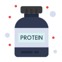 단백질