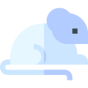 souris