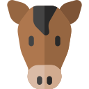 cavalo