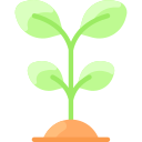 plante