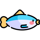 anchoa