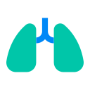 호흡기 체계