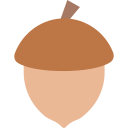 Acorn