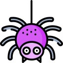 spinne