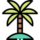 Palm tree