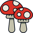 funghi