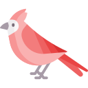 cardinal