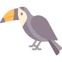 hornbill