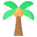 Coconut tree