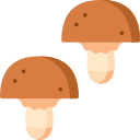 champignons