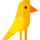 kanarienvogel